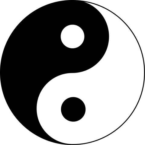 Yin-Yang, médecine traditionnelle chinoise au centre ChiroSphere à Neuchâtel
